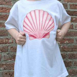 Pink Seashell